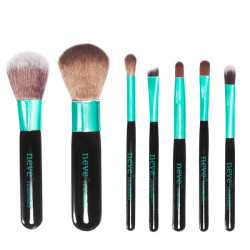 Set pennelli trucco per makeup professionale (7 pennelli e trousse)