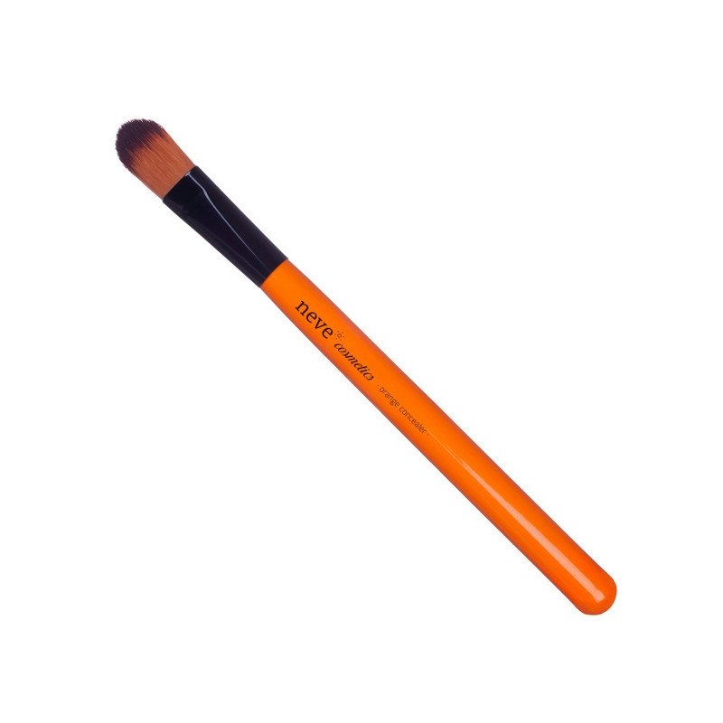 Orange Concealer brush