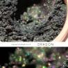 Dragon mineral eyeshadow