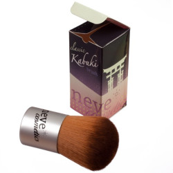 Kabuki brush