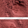 Starlet mineral blush